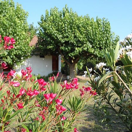 Engin Pension Çıralı Exteriér fotografie