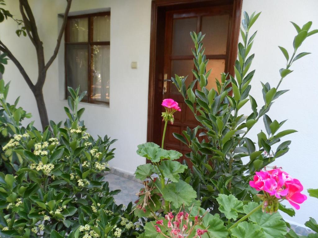 Engin Pension Çıralı Pokoj fotografie